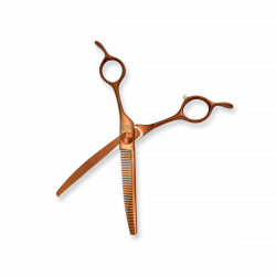 DR6545CTH 2